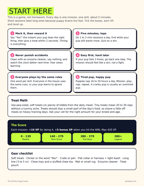 The 28-Day Puppy Quest sample page 1