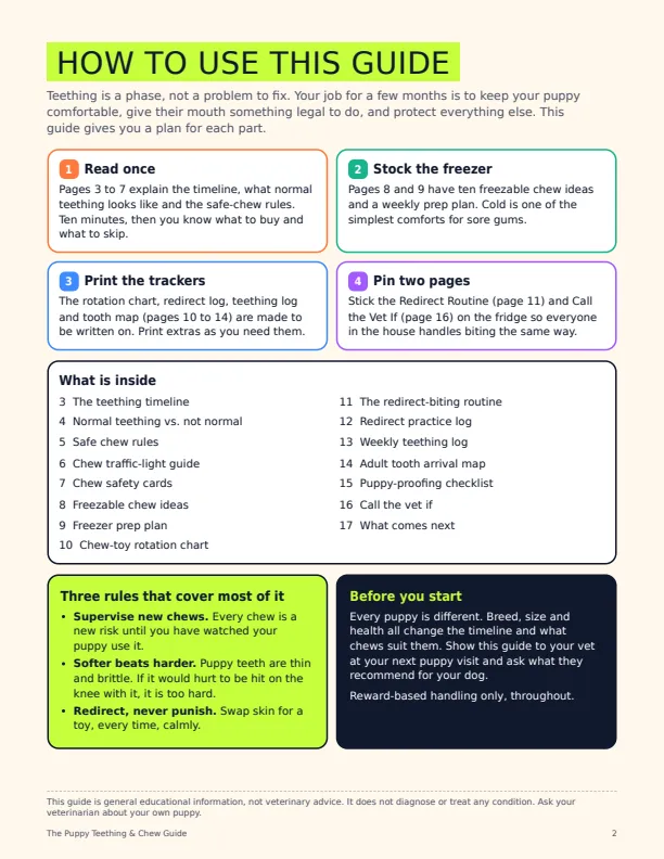 The Puppy Teething & Chew Guide sample page 1