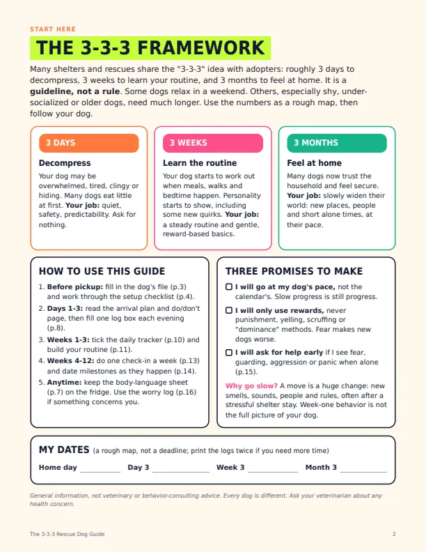 The 3-3-3 Rescue Dog Guide sample page 1