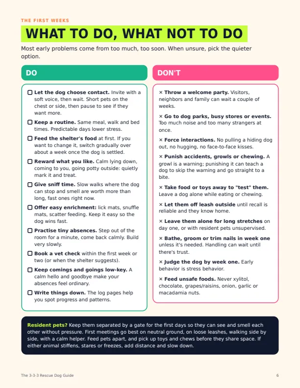The 3-3-3 Rescue Dog Guide sample page 2