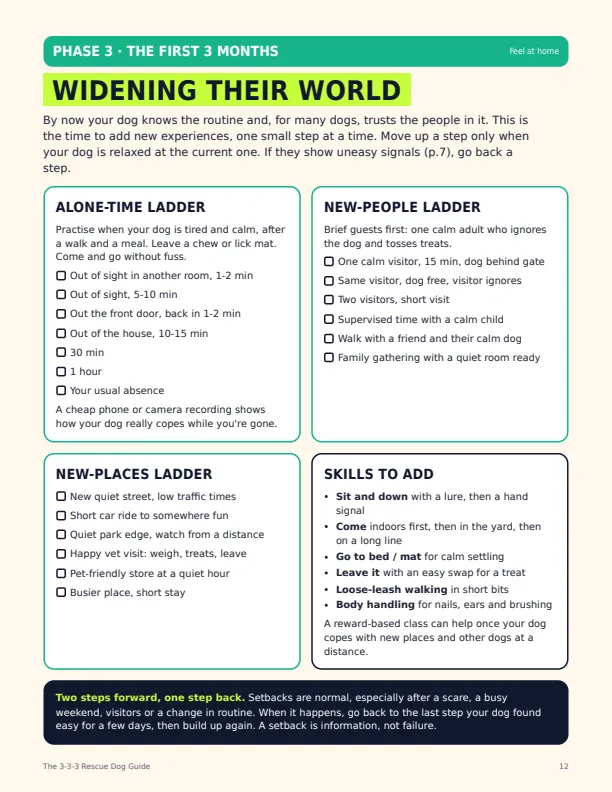 The 3-3-3 Rescue Dog Guide sample page 3