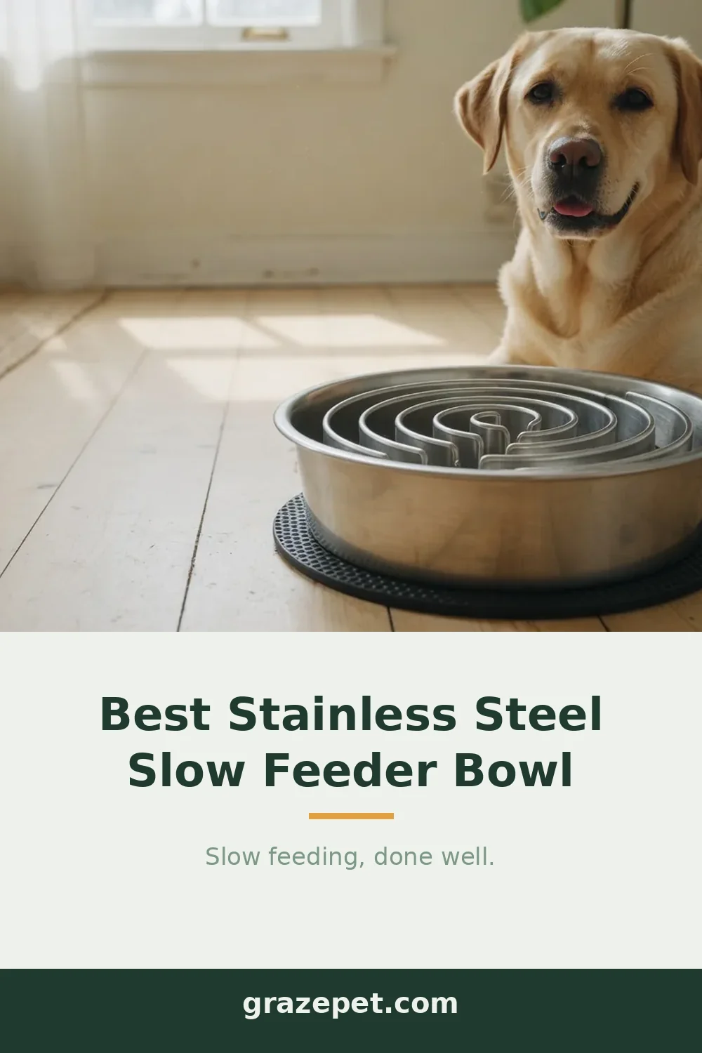 Best Stainless Steel Slow Feeder Dog Bowl (2026) — save on Pinterest