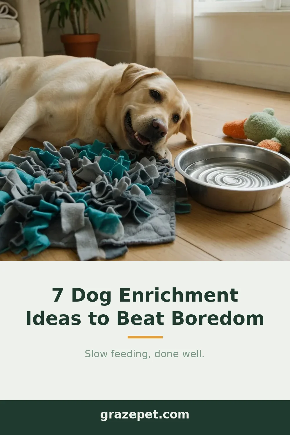 7 Dog Enrichment Ideas to Beat Boredom — save on Pinterest