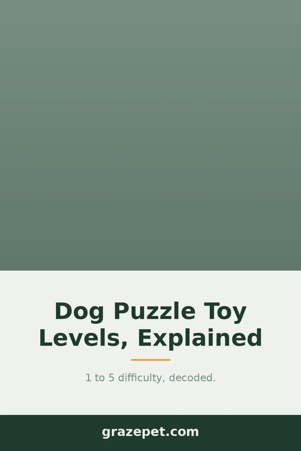 Dog Puzzle Toy Levels Explained — save on Pinterest