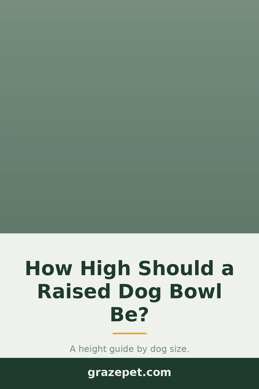 How High Should a Raised Dog Bowl Be? — save on Pinterest