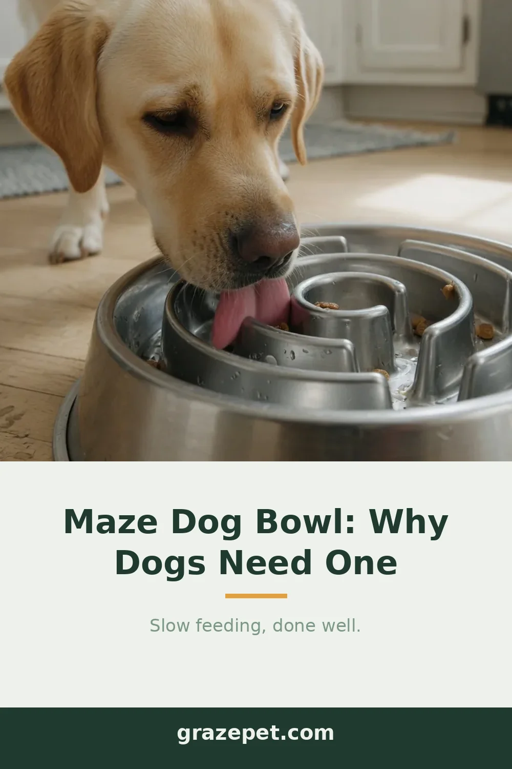 Maze Dog Bowl: What It Is and How to Choose One — save on Pinterest