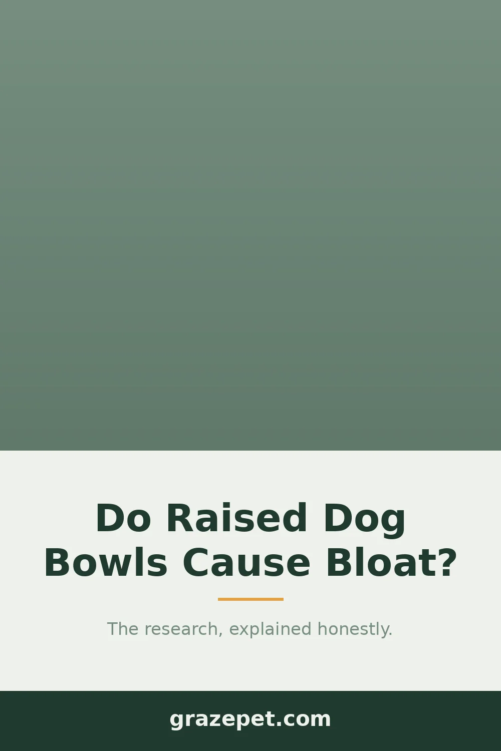 Do Raised Dog Bowls Cause Bloat? — save on Pinterest