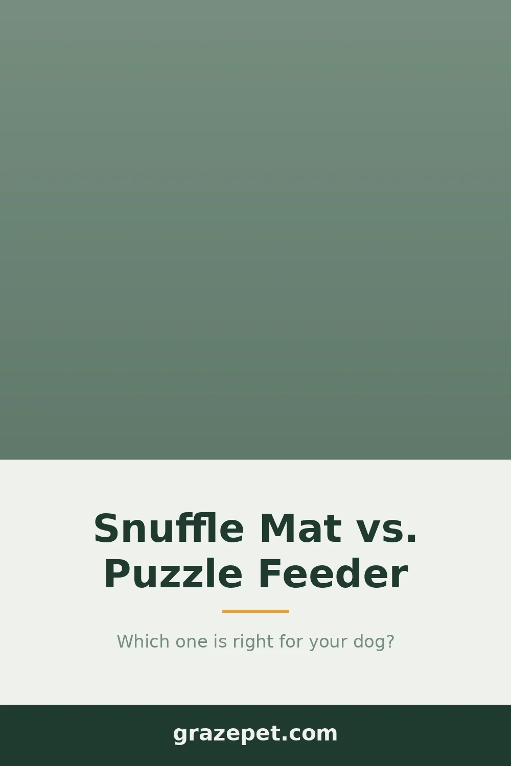Snuffle Mat vs Puzzle Feeder: Nose Work or Paw Work? — save on Pinterest