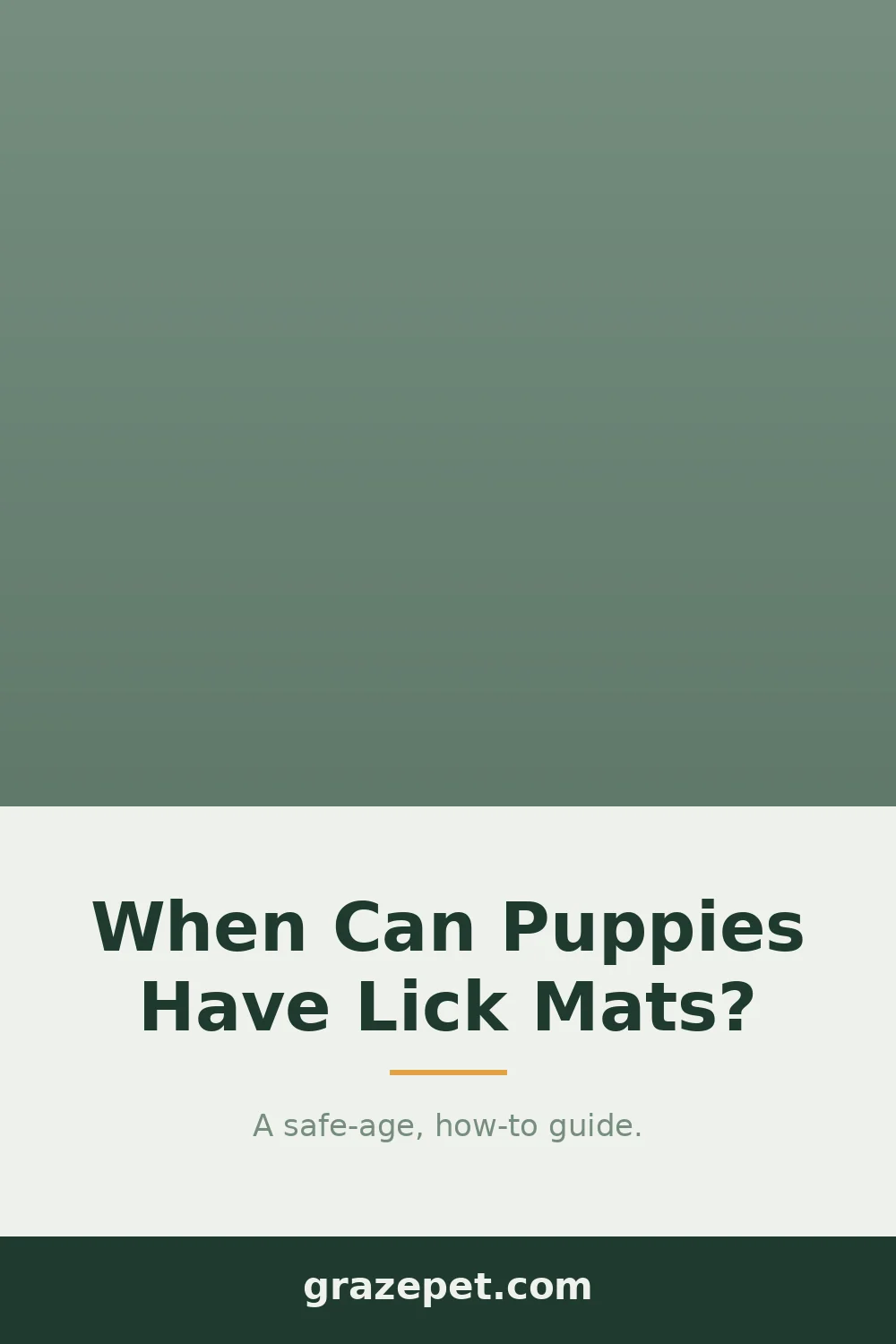 When Can Puppies Start Using Lick Mats? — save on Pinterest